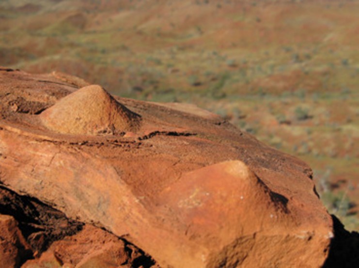 outcrop-of-stromatolite-w-australia